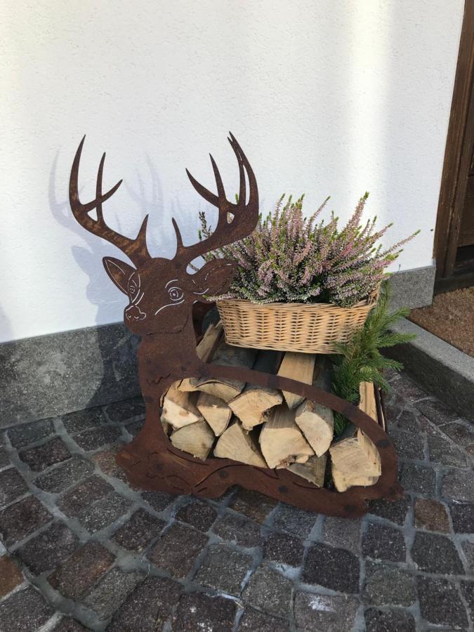 Ciasa Nonna Bon Bon Hotel Cortina d'Ampezzo Luaran gambar